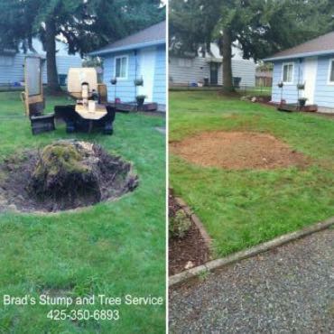 before and after of a tree stump removal