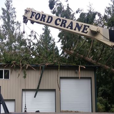 Using a crane to remove a fallen tree