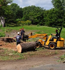 Removing tree in Snohomish, Washington.